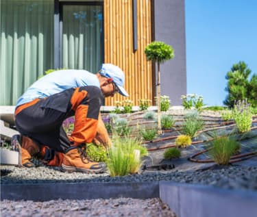 Landscaping